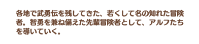 若き女勇者 ファルメアの説明