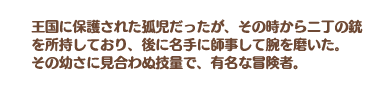 静かなる双銃 リネットの説明