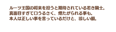 秩序の騎士 ロンの説明